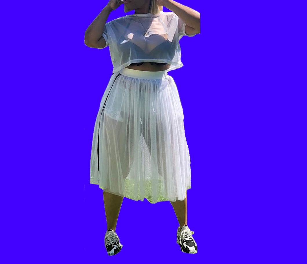 Sexy Mesh Pleated Skirt Set